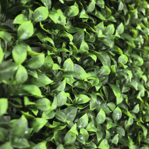 Détails en gros plan du rendu végétal du Mur feuilles de Gardénia sur support plastique 1m x 1m