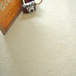 Tapis sur mesure Manège Velours - Blanc coquille - Vue de haut