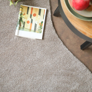 Tapis contemporain de forme organique - Influence - Grège clair - vue du dessus