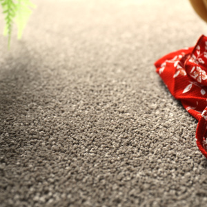 Moquette Manège - Marron - Vue de face