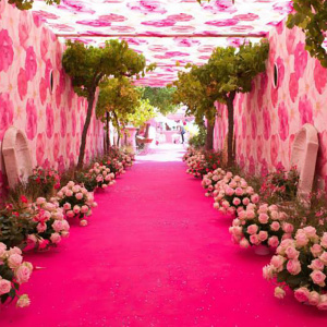 Moquette filmée - Stand Event - Rose Fushia - Partenariat