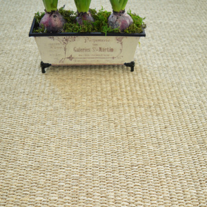 Détail du tissage sisal Quintana Blanchi en fibres naturelles avec boucles fines et régulières