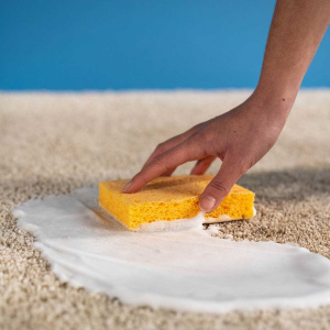 Nettoyant Raviveur Express Tapis Starwax appliqué sur tapis avec mousse sèche pour détachage rapide