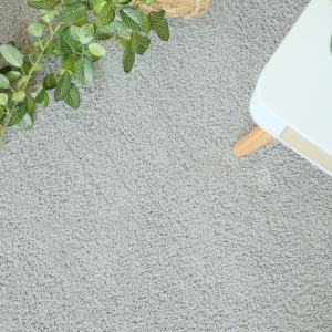Moquette Cocoon Gris vue du dessus avec plante et mobilier bois dans un intérieur naturel