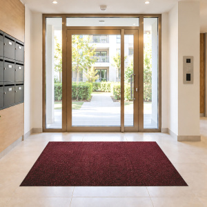 Tapis sur mesure Paillasson Brosse Coco 23 mm - Rouge, paillasson épais aux dimensions personnalisables installé devant une large entrée vitrée