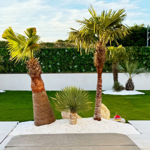 Mur végétal artificiel - Forêt tropicale - Intérieur et extérieur, feuillage décoratif dense pour préserver l’intimité