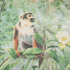 Papier peint panoramique - Format L - Animaux de la jungle - singe