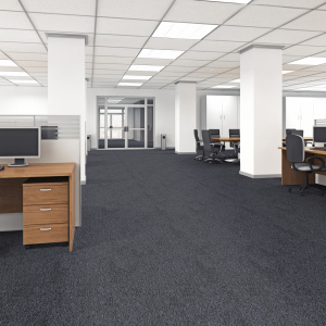 Moquette en polyester recyclé Re-cycle Gris ardoise dans bureau professionnel open space