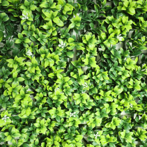 Détail du feuillage du mur végétal artificiel Jasmin blanc, effet naturel pour intérieur/extérieur