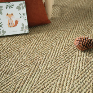 Ambiance nature sur le tapis jonc de mer Assam, fibres végétales et coussins en velours