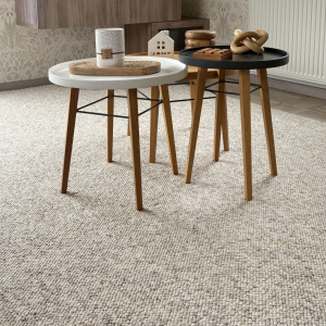Tapis pour salon ou chambre Bouclette grège tendre