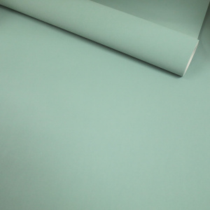 Papier peint vinyle sur intissé - Intemporel - Uni grain fin vert d'eau