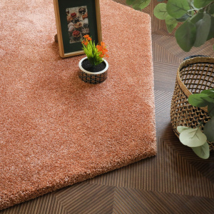 Tapis design rose corail Touch forme hexagonale dans un salon chaleureux
