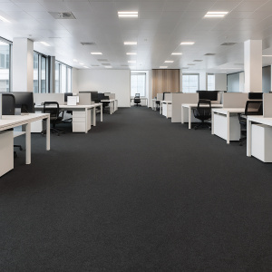 Moquette Orotex Revexpo - Gris Foncé - Salon