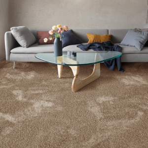 Moquette épaisse Éclat shaggy marron clair - salon