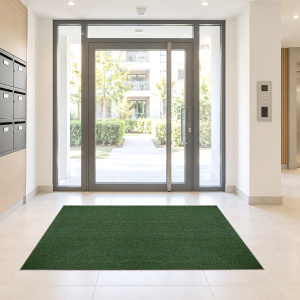Paillasson - Tapis brosse Coco - Vert - Ép. 17 mm, paillasson rectangulaire apportant une touche végétale à une entrée lumineuse aux murs clairs
