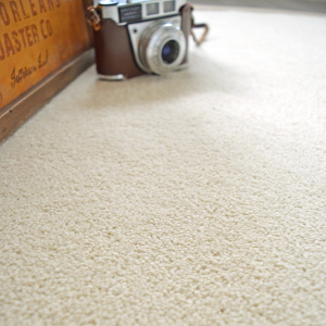 Moquette Manège - Blanc coquille - Vude de haut