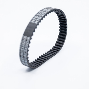 Courroie de remplacement pour brosseuse balayeuse Garland 302 E-V19 avec profil denté pour transmission efficace
