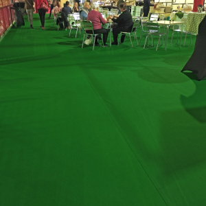 Moquette filmée Stand Expo Vert chiné utilisée dans une zone de restauration ou de buffet
