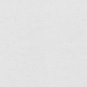 Coton gratté ignifugé couleur blanc texture fine de toile à plat