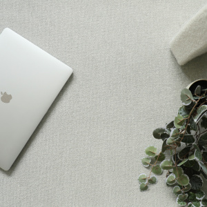 Moquette pour tapis sur mesure Sylon Gris galet avec ordinateur portable et plante verte créant une ambiance douce