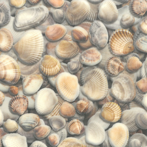 Sol Vinyle Textile Relief 3D – Imprimé Coquillages, décor hyper réaliste façon plage
