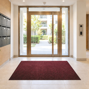 Tapis sur mesure Paillasson Brosse Coco PMR-ERP 17 mm - Rouge, paillasson épais aux dimensions personnalisables installé devant une large entrée vitrée