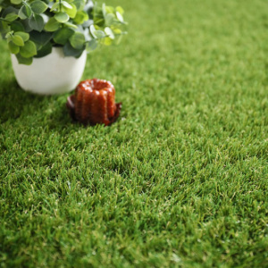 Gazon synthétique Easy 2 - 30 mm - vue de près