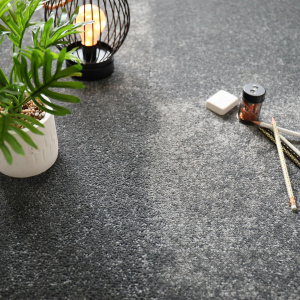 Dalle moquette velours gris foncé avec plante et objets déco dans une ambiance intérieure élégante