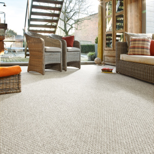 Moquette Tissé Plat - Natté Sumatra - Blanc - Salon