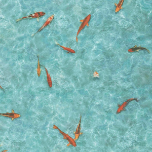 Sol Vinyle Textile – Relief 3D – Imprimé poisson Koï japonais, décor ultra réaliste de poissons nageant dans une eau turquoise