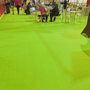Moquette Orotex Revexpo Vert anis, pour sol de parc d’exposition