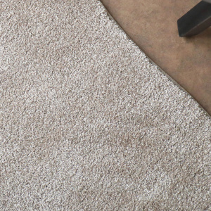 Détail finition galon ton sur ton du tapis Influence forme organique grège clair