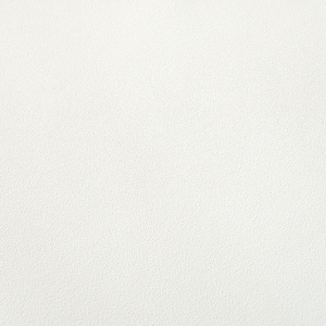 Papier peint vinyle sur intissé - Intemporel - Uni grain fin blanc - zoom