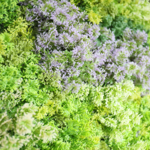 Mur végétal artificiel Sous-bois avec effet de profondeur et dégradé de couleurs