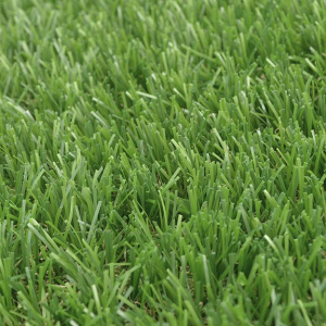 Gazon synthétique Versailles - 40mm