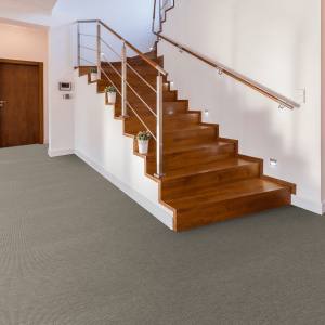 Moquette Tissé plat - Mahé - Silver - Couloir