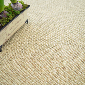 Sol Sisal Quintana - Blanchi