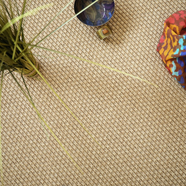 Moquette Tissé Plat - Natté Sumatra - Naturel - Vue de haut