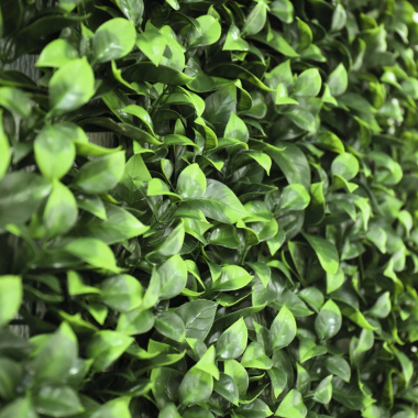 Détails en gros plan du rendu végétal du Mur feuilles de Gardénia sur support plastique 1m x 1m