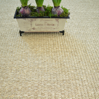 Sol Sisal Quintana - Blanchi - vue de face