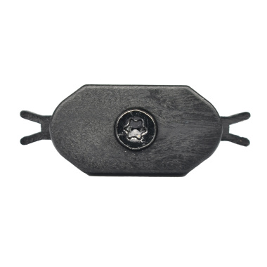 100 Clips de fixation et vis Torx