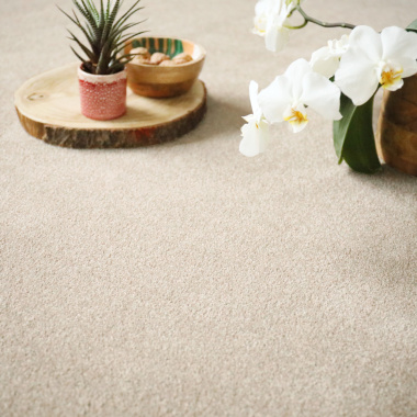 Tapis sur mesure Re-cycle beige polyester recyclé avec plateau et plante