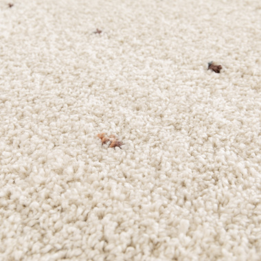 Tapis doux à poils longs - Sofia - Écru et pois colorés - gros plan