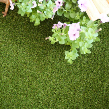 Gazon synthétique Nature - vue de haut