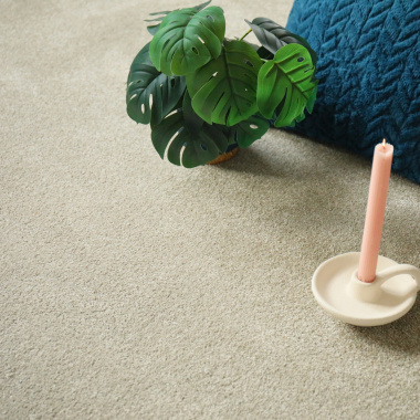 Moquette salon Select vert tilleul - plante verte et coussin bleu