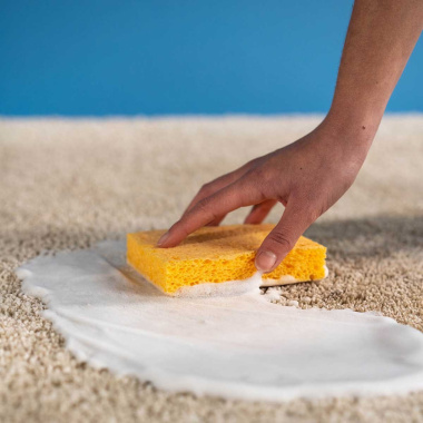 Nettoyant raviveur express Tapis et moquettes Starwax - avec éponge