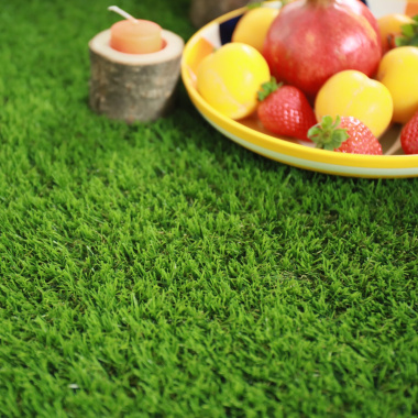 Zoom sur assiette de fruits colorés et brins du gazon Vitalité, texture douce et aspect naturel
