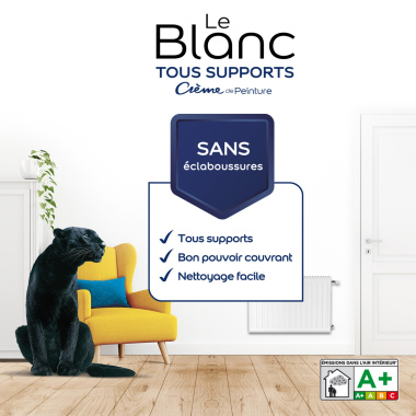 Dulux Valentine Le Blanc Tous Supports - Crème de Peinture - Mat Blanc - étiquette