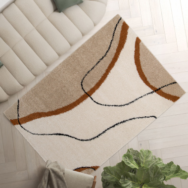 Tapis contemporain Courbes du Désert beige et marron mis en valeur dans une décoration zen